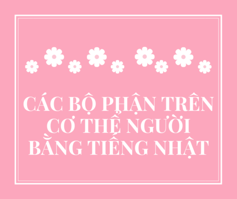 cac bo phan tren co the nguoi bang tieng nhat